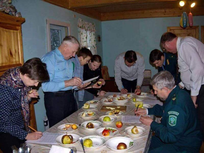 Дегустация зимних сортов яблок в питомнике «Сады Севера» Вологодской области
